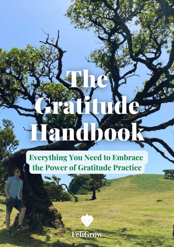 The Gratitude Handbook cover